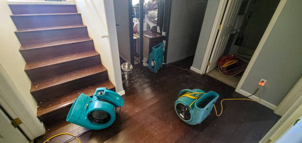 Best Residential water damage restoration  in Dumbarton, VA