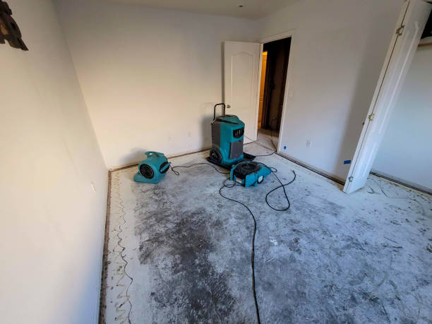 Best Professional water damage repair  in Dumbarton, VA