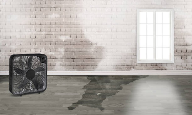 Carpet water damage restoration in VA