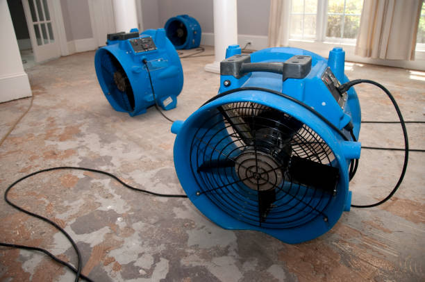 Best Water damage restoration experts  in Dumbarton, VA