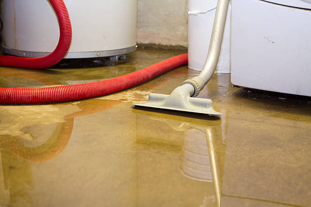 Best Water damage restoration near me  in Dumbarton, VA