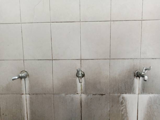 Best Carpet water damage restoration  in Dumbarton, VA