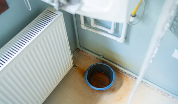 Best Flood restoration services  in Dumbarton, VA