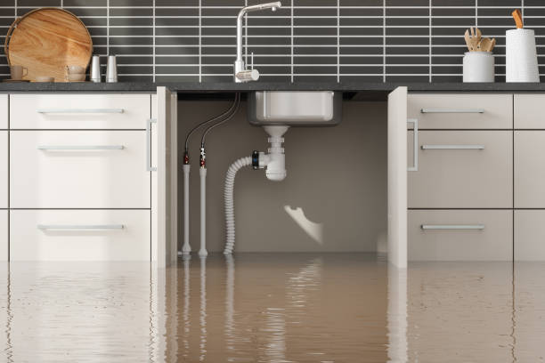 Best Fire Damage Restoration  in Dumbarton, VA