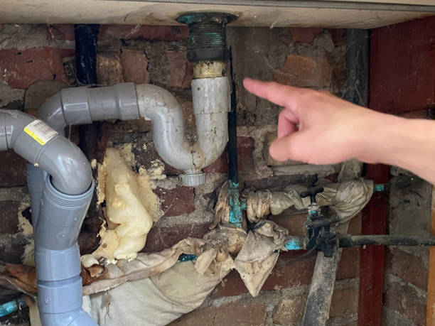Best Water damage contractors near me  in Dumbarton, VA
