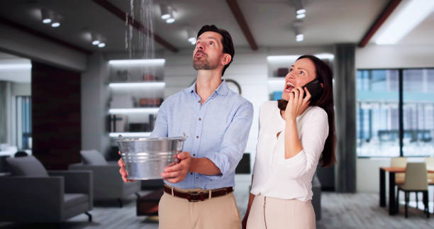 Best Sewage cleanup and water damage restoration  in Dumbarton, VA