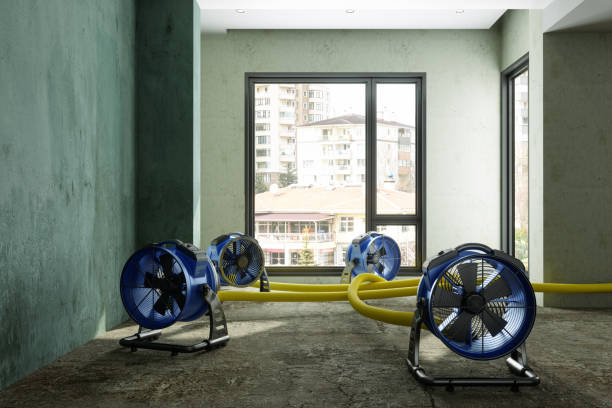Best Residential water damage restoration  in Dumbarton, VA